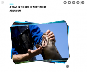 스크린샷_2014-11-11_오전_12.44.18