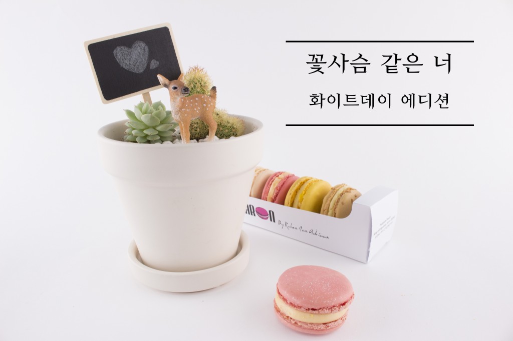 화이트데이에디션