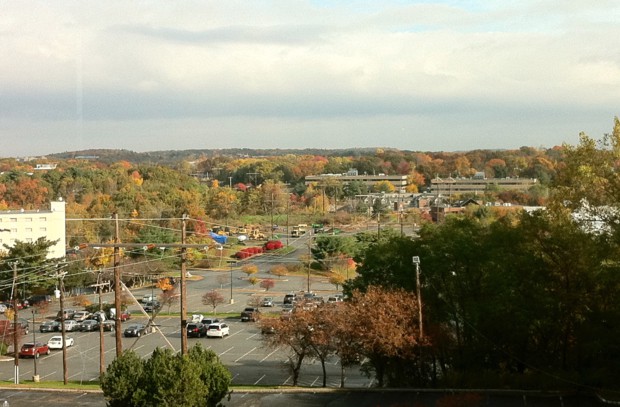 라이코스 사무실에서 바깥을 내다본 풍경. 가을 모습.