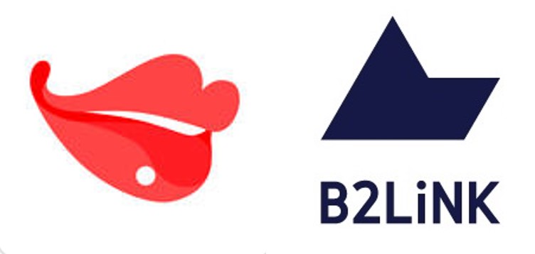 b2