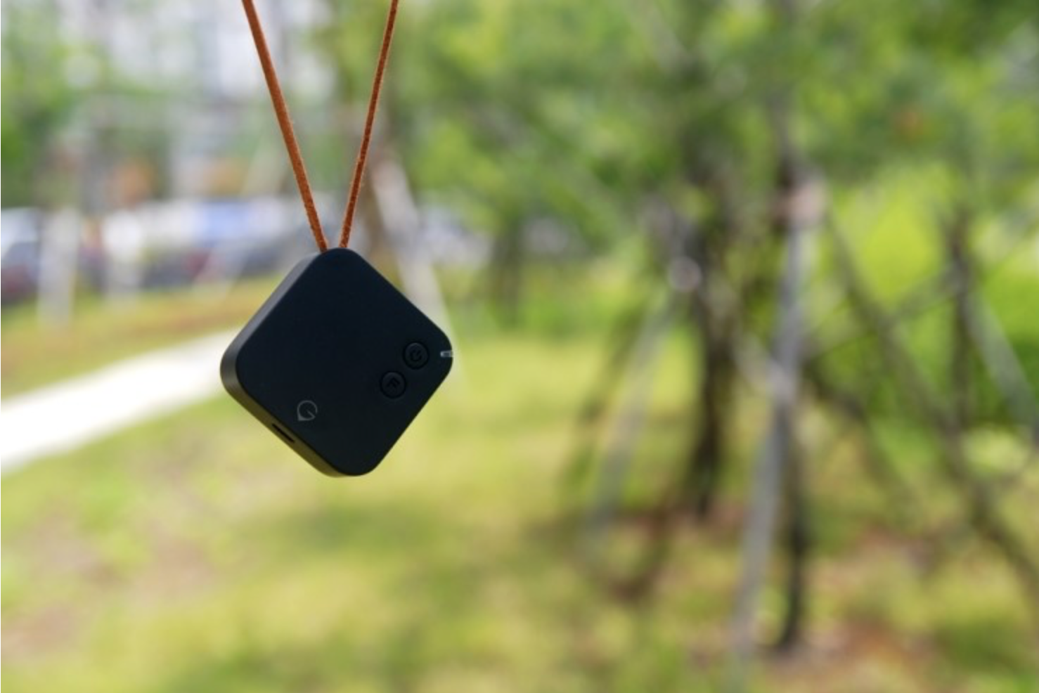 Screen Shot 2016-08-01 at 11.33.37