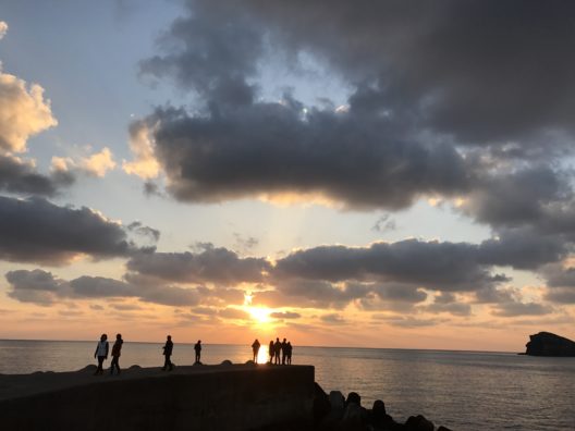 디지털 노마드를 유혹하는 제주 카페 10선 ②서귀포편