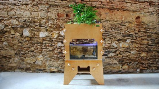 “미래형 농업을 직접…” 오픈소스형 아쿠아포닉스