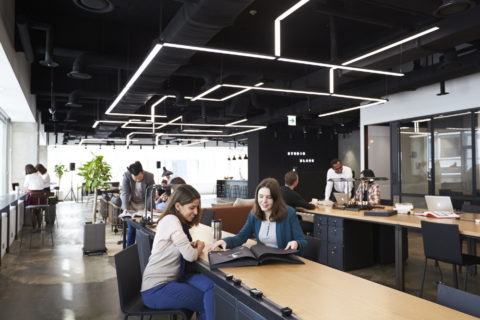 4대보험, 그것이 궁금하다