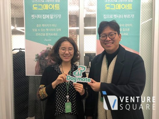 반려견 친구, 도그메이트