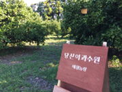 과일나무 멤버십 서비스 '당신의과수원' 투자 유치