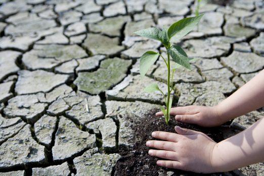 중뿔난 5년 - 벤처스퀘어 CEO가 드리는 편지