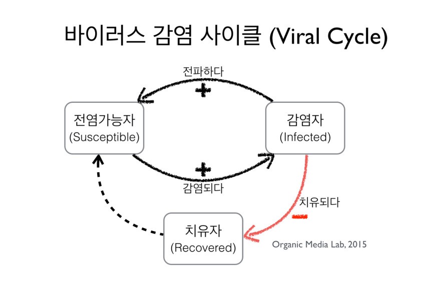 바이러스의 확산은 감염자가 전염가능자를 감염시키고 이들이 다시 전염가능자를 감염시키는 사이클을 통해 일어난다. 일부는 치유가 되어 이 사이클을 중단시키고 이는 바이러스의 확산을 막게 된다.