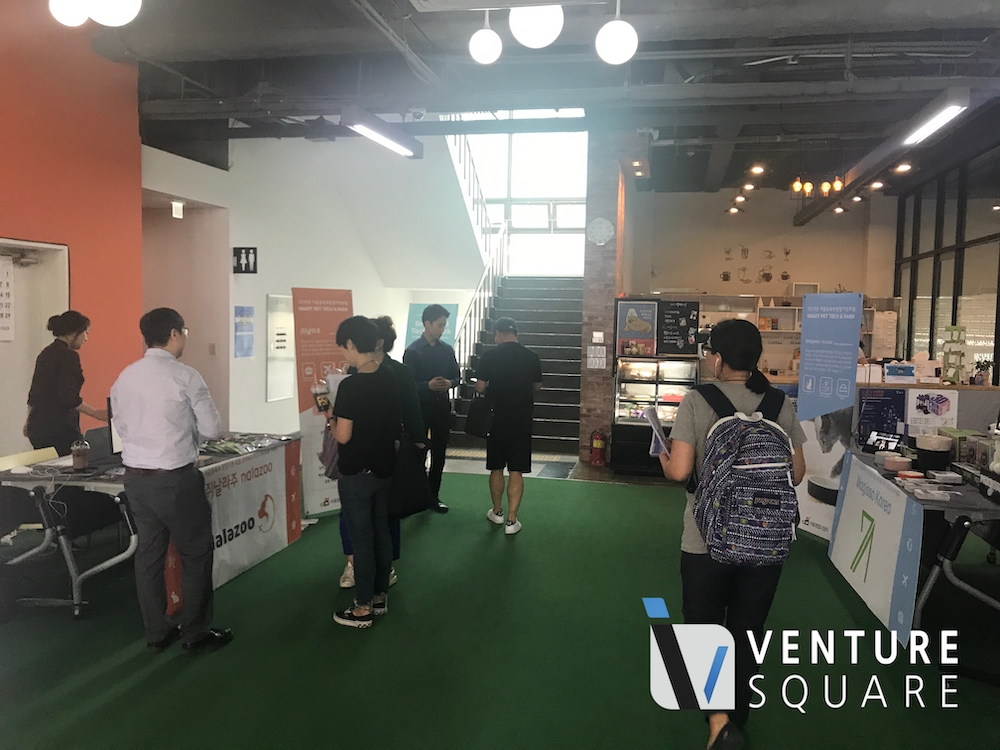 대신 놀아주는 로봇까지... ‘펫테크’의 현재는? - 뉴스 썸네일 이미지