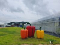 인구 33만 세종시에 부는 창업 바람