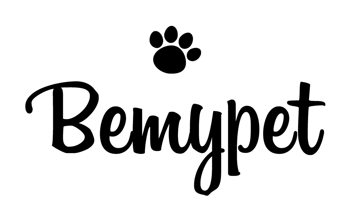 비마이펫, 스트롱벤처스로부터 후속 투자 유치 - 뉴스 썸네일 이미지