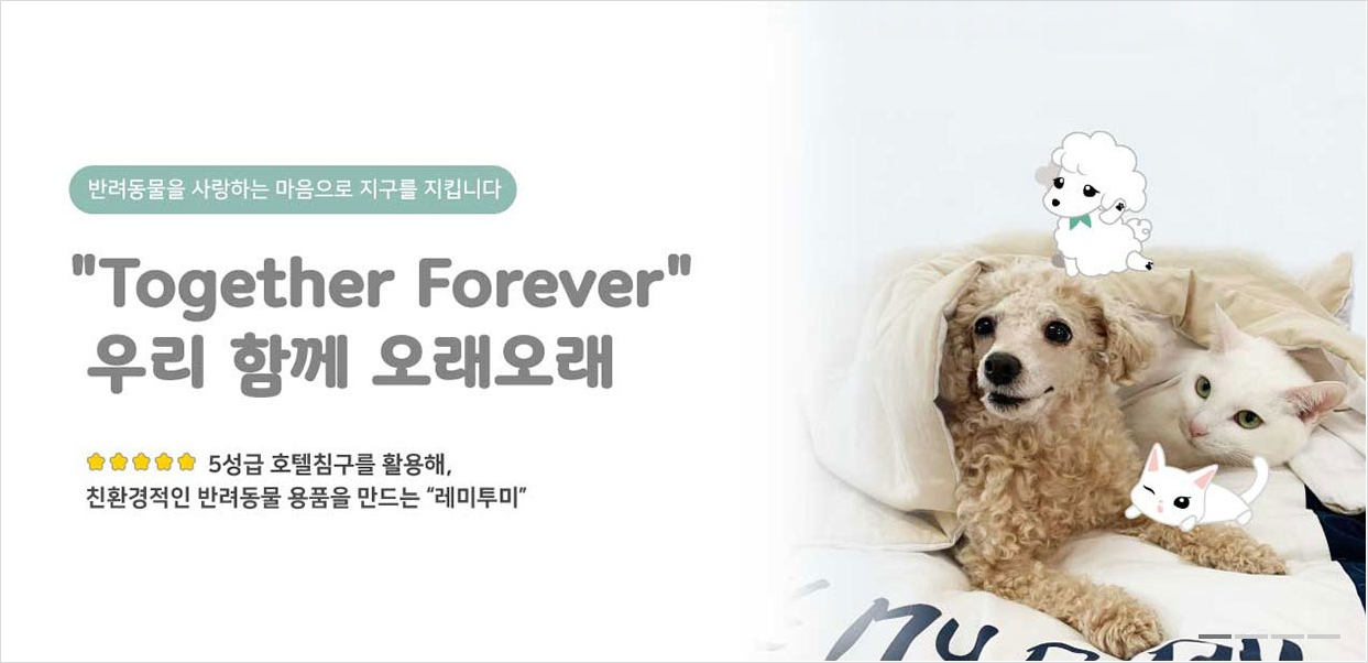 업사이클링 펫테크 ‘레미투미’ 운영 레미디, 투자 유치 - 뉴스 썸네일 이미지