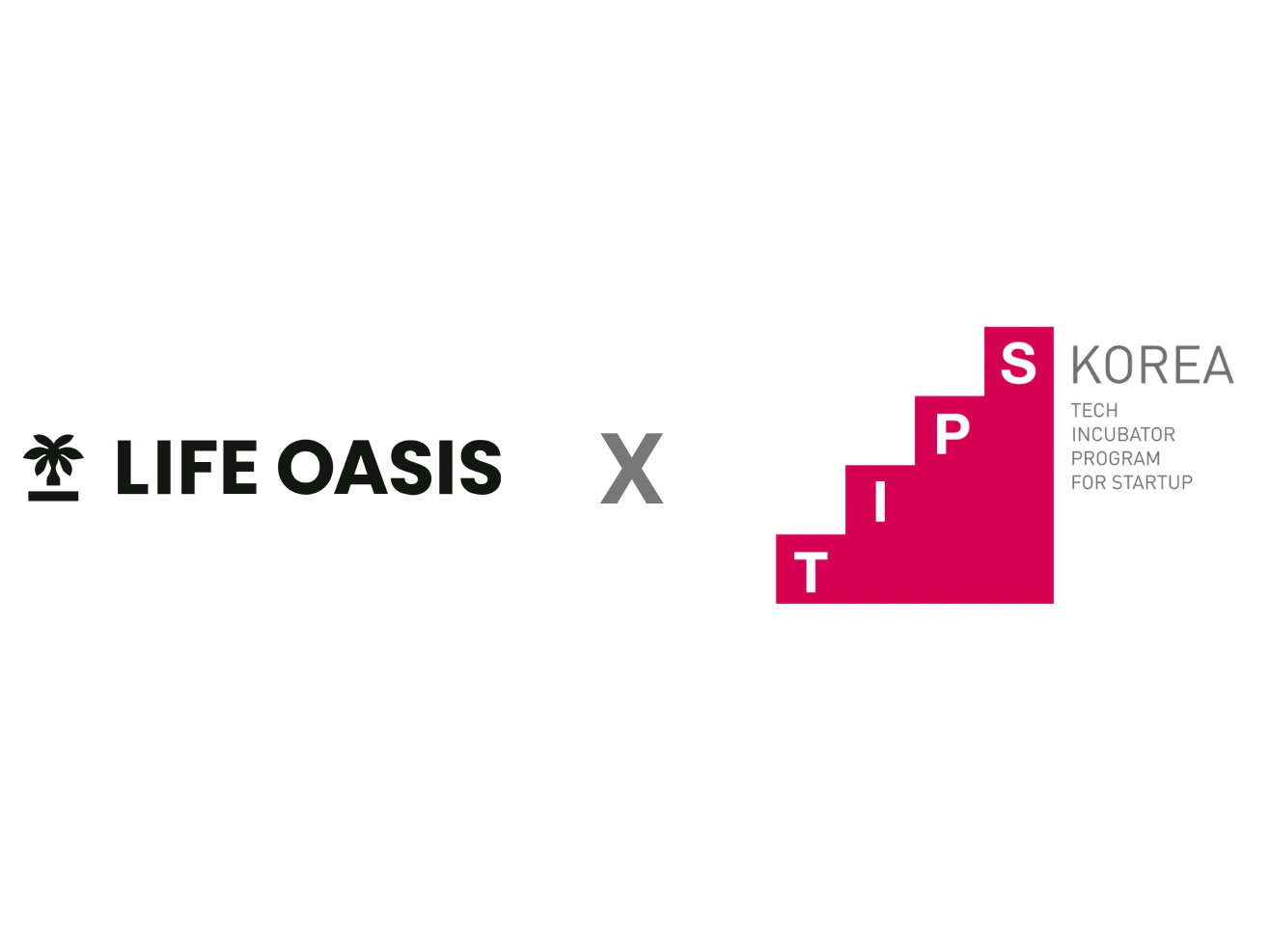 마음 어플 운영 ‘라이프 오아시스’, 팁스 선정 - 뉴스 썸네일 이미지