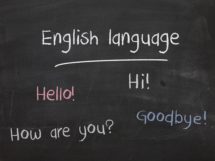 영어 사교육 시장 잡는 ‘에듀테크 스타트업’