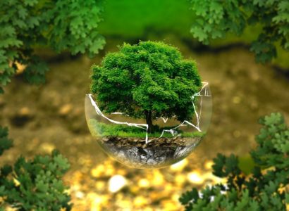 세계적 ‘넷제로 선언’ 흐름 속 스타트업의 움직임