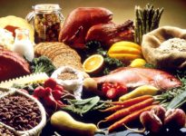 스타트업부터 대기업까지, K-푸드테크 이끌어 갈 대체식품 시장